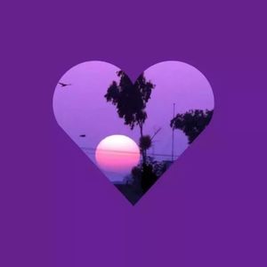 在枫桥落叶的夏日