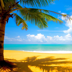 落花流水这里真的好美