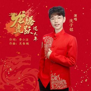 龙腾虎跃过大年