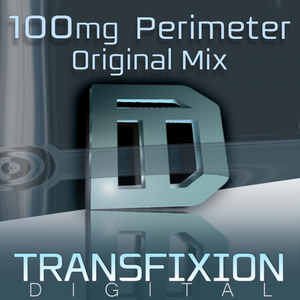 Perimeter (Original Mix)