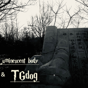 灰色幽默Prod Kaylico