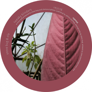 The Bark Side Of The Moog (Original Mix)