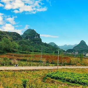 贝嘛啰（回家了）