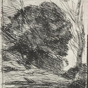 Leckie