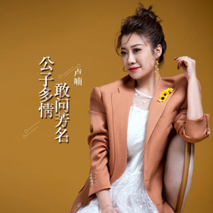 公子多情敢问芳名流行版-卢喃伴奏 (伴奏)