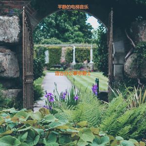 办公事务浪漫的爵士