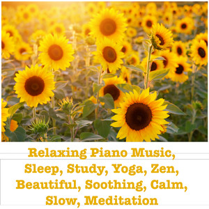 Sound Remedy (Original Mix)