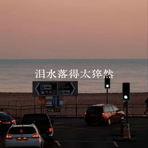 泪水落得太猝然