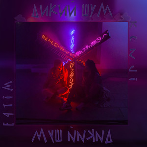 Дикий Шум