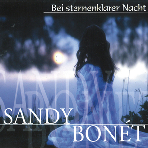 Bei sternenklarer Nacht (Radio Edit)