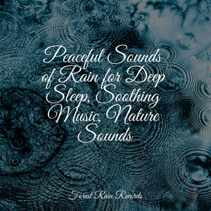 Soothing Small Ocean Waves
