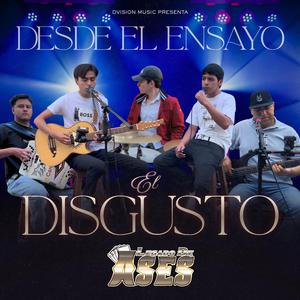 El Disgusto (Desde el Ensayo)