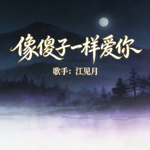 像傻子一样爱你
