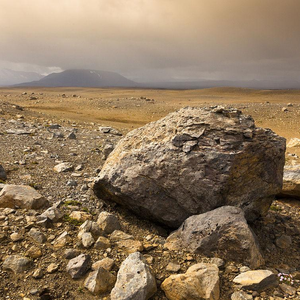 挥着翅膀的女孩