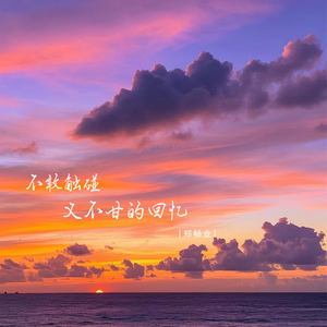 不敢触碰又不甘的回忆