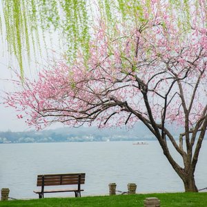 浣溪沙・夜忆旧梦（三）