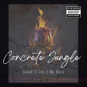 Concrete Jungle (feat. Kali B & Mr.Malik)