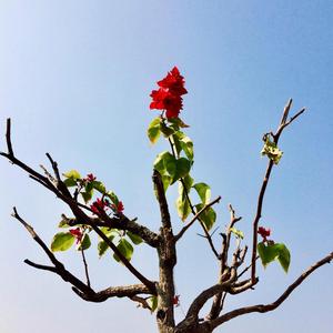 Gods Exist To Be Worshipped