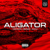 Ciemna Strefa - Aligator (feat. Bonzo)