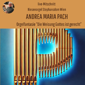 Orgelfantasie "Die Weisung Gottes Ist Gerecht" (Live)