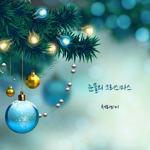 눈물의 크리스마스