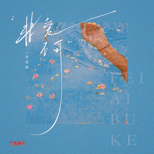 非爱不可（氛围版）0.9x