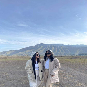 1001のバイオリン