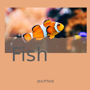 Shining Fish(prod.YoungMarkin)