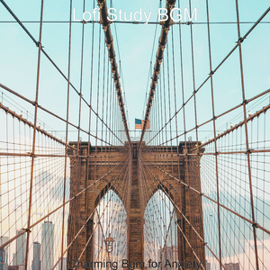 Peaceful - Moments for 2 AM Study Sessions