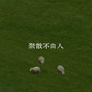 聚散不由人