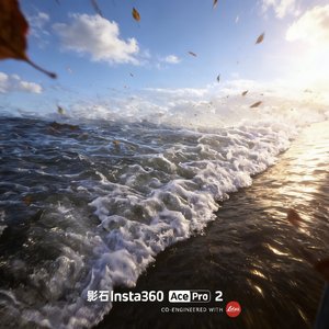 烧掉软弱的午后