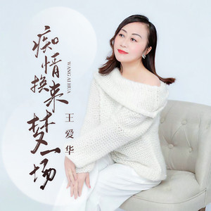 痴情换来梦一场 (DJ默涵版)