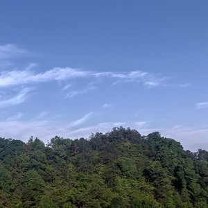 管他呢