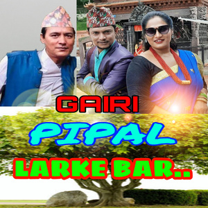 Gairi Pipal Larke Bar