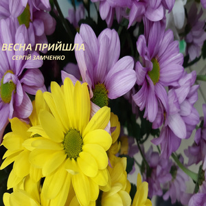 Весна прийшла