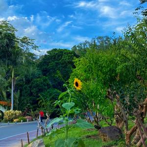 心引力（cover王俊凯）（翻自 蔡依林）