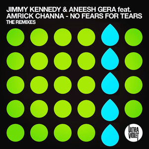 No Fears for Tears (Who Shot Kennedy Remix)