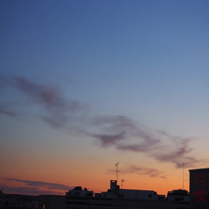 失明前我想记得的47件事