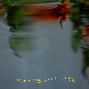 Moving Still Life