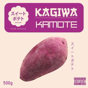 Kamote (2024 Version)