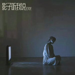影子听我说