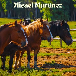 Nuevas Fuerzas de Vivir