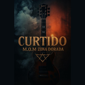 CURTIDO