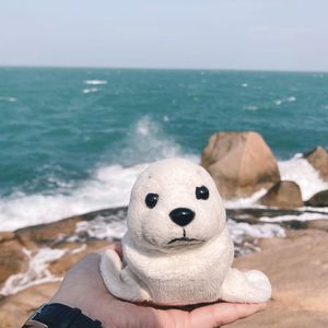 人生日常 to Aria