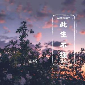 此生不换