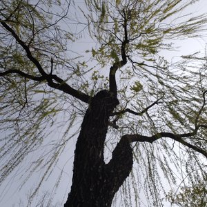 原来最大的惩罚是记得