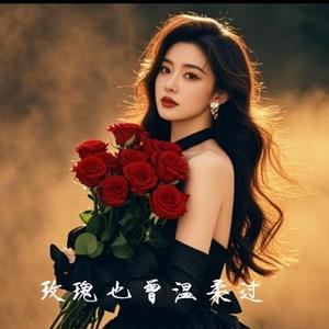 玫瑰也曾温柔过