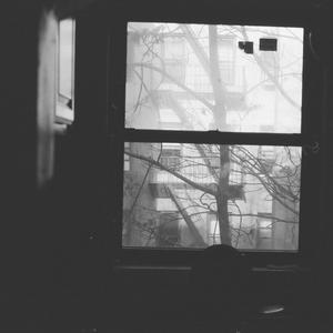 experimentations in the forms of sugar and fungus