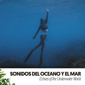 Serenidad junto al mar