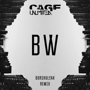 BW (Borshulyak Remix)